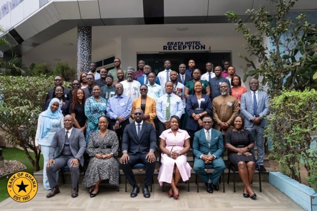 AI must not replace human judgment in public spending – BoG Governor