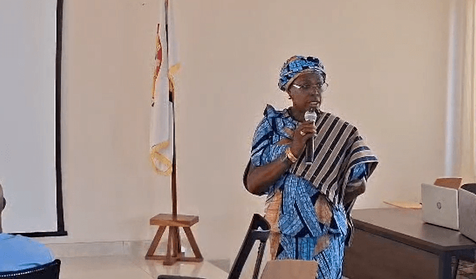 Ablakwa facing ‘personal vendetta’ over refusal to grant Nana B service passport – Majority