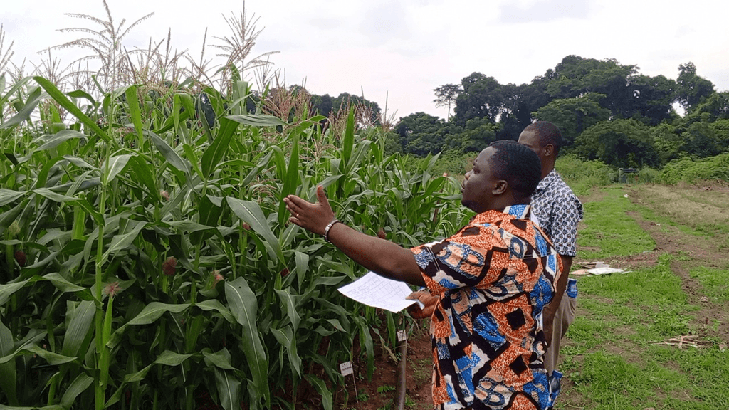 GHIPO makes case for local plant breeders to protect developed varieties for food sovereignty and reinvestment