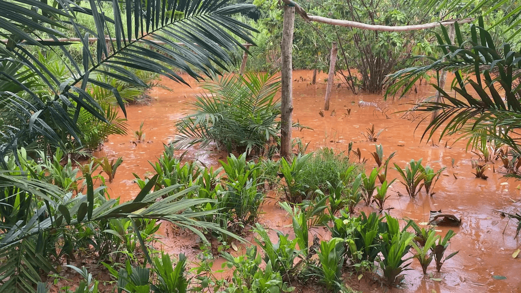 Galamsey activities redirect Mankran Stream, destroy farms, and threaten flooding in Okroase