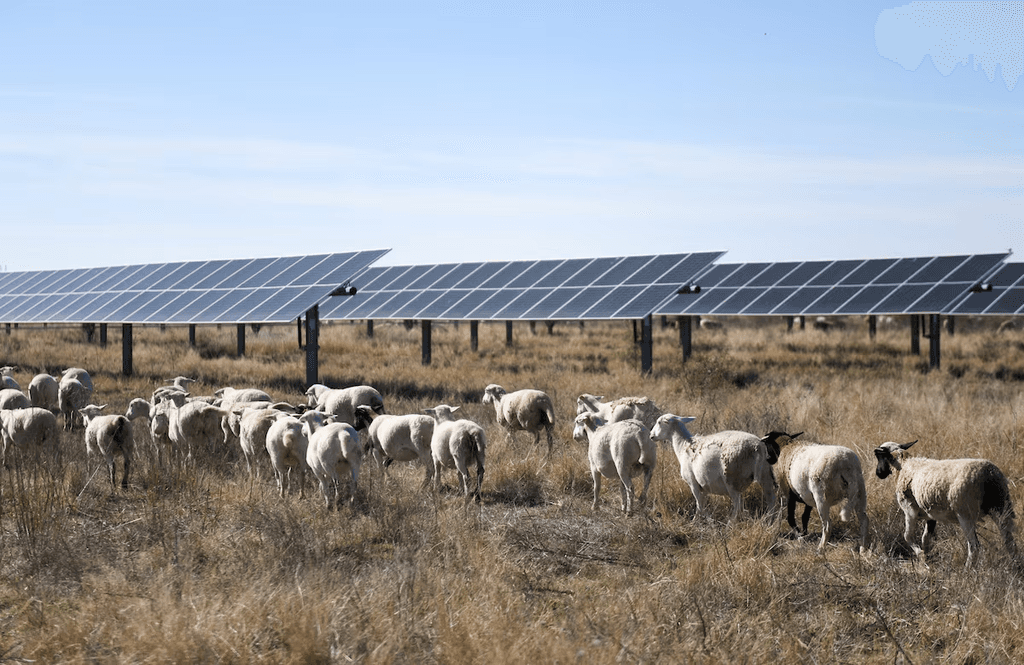 New Trump rules will make it harder for farmers to access US funds for energy projects