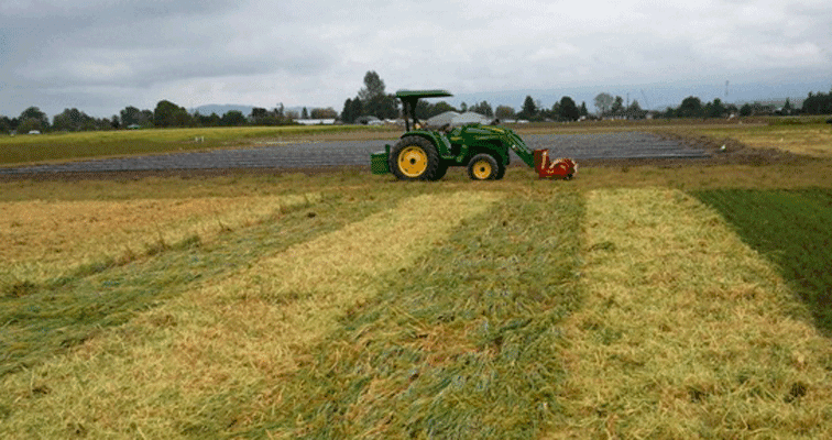 Farming collaboration set to benefit Makgoba community