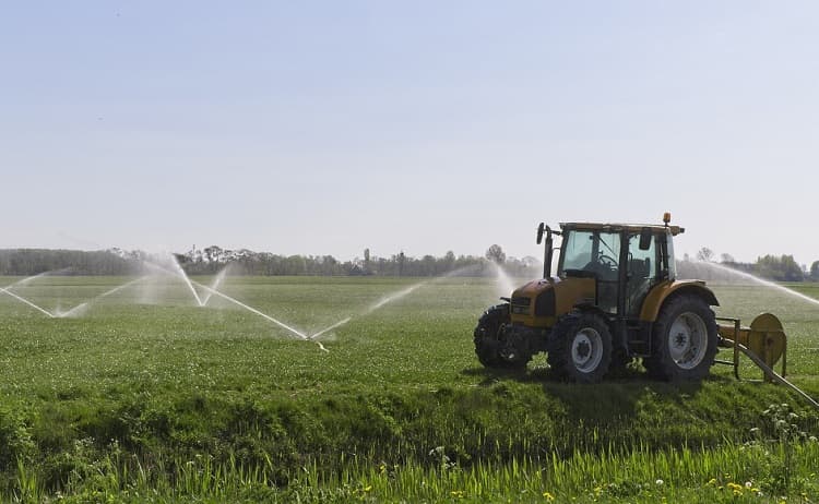 Food security among discussions at SADC summit