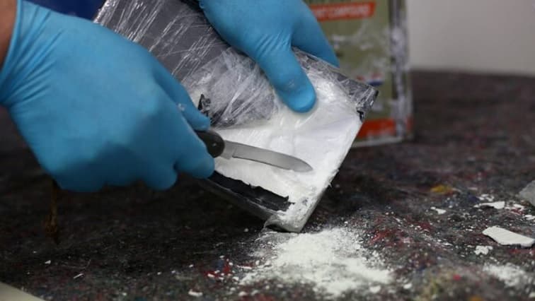 Police seize drugs worth R720 000 in Western Cape