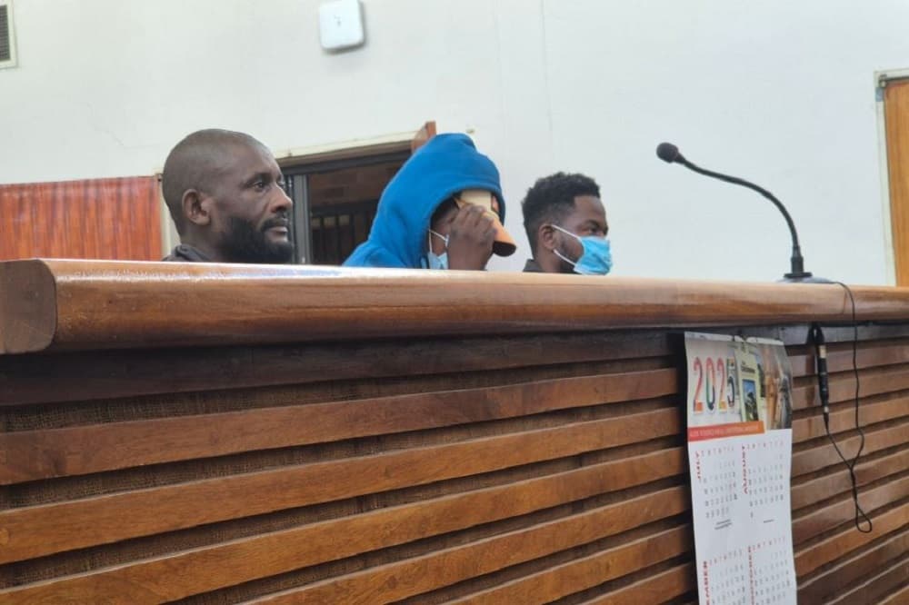 Judgment in Phala Phala farm theft case to delivered in November