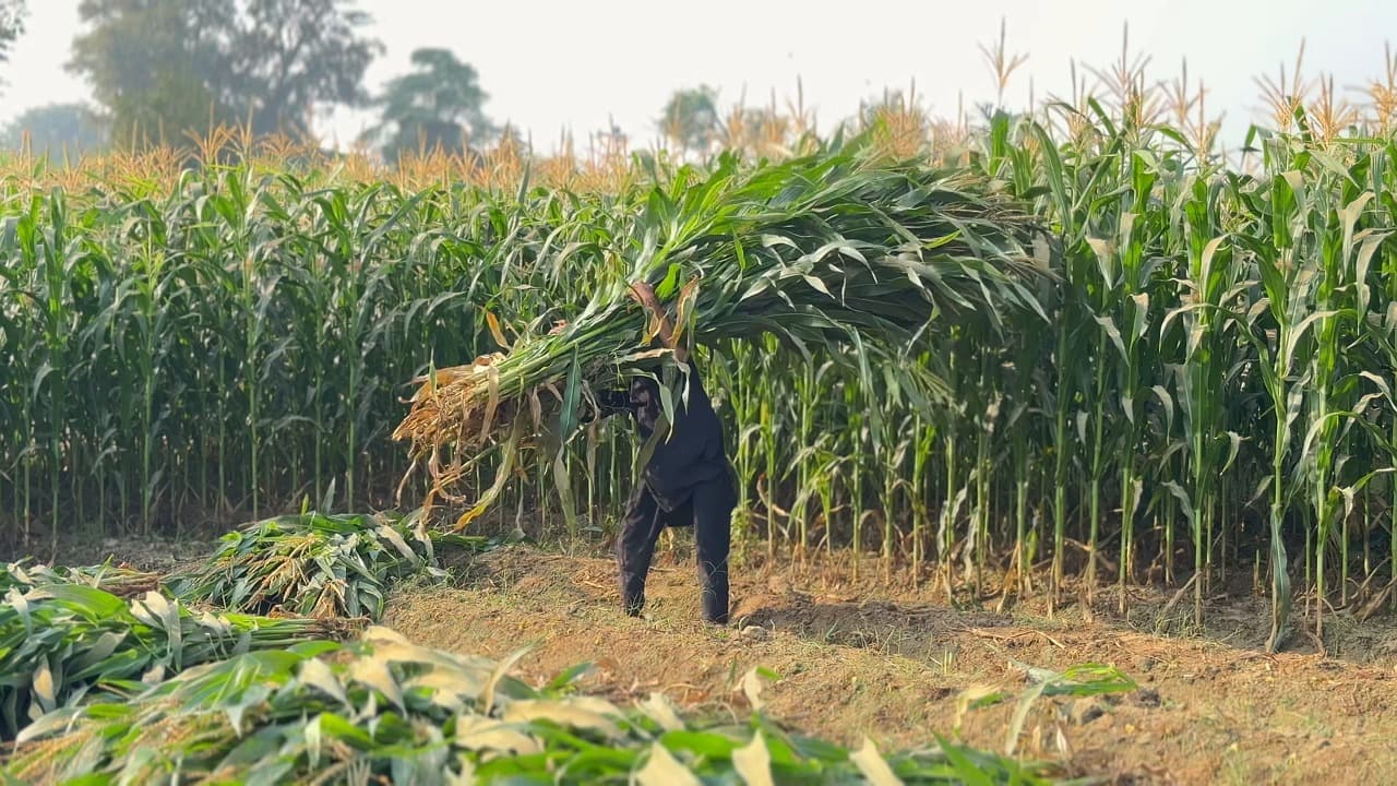 Parly Committee concerned about lack of benefits for farm workers