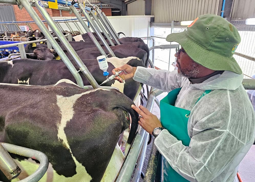 Government launches FMD self-vaccination portal for livestock farmers