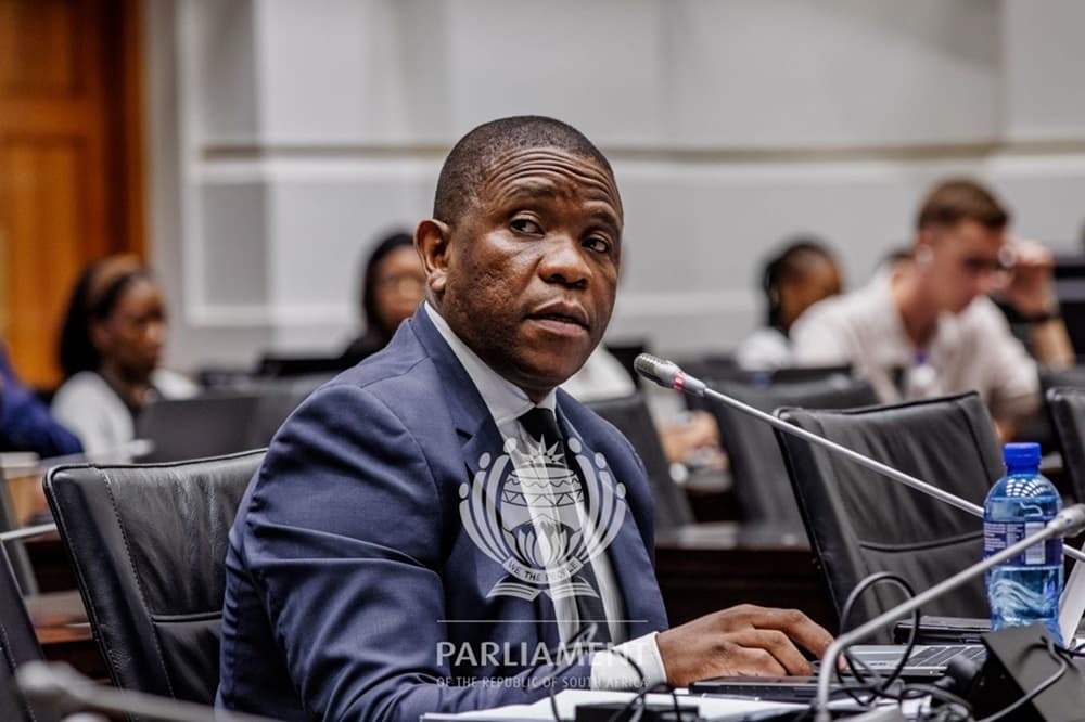 Didiza extends the life of the Ad Hoc Committee