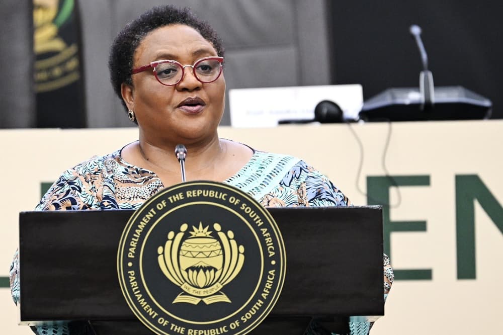 Speaker Didiza’s referral of Sarah-Jane Trent complaint challenged