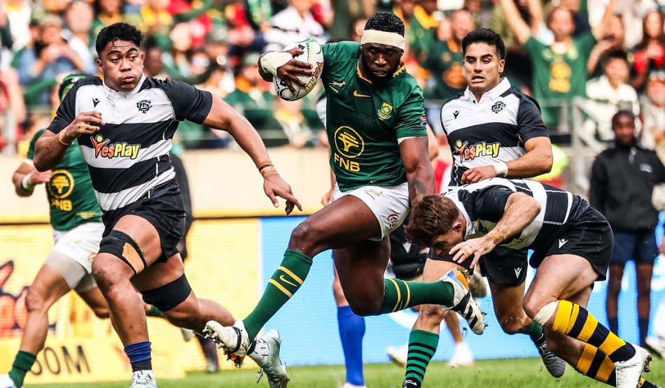 Injured Springbok stars back for international tests