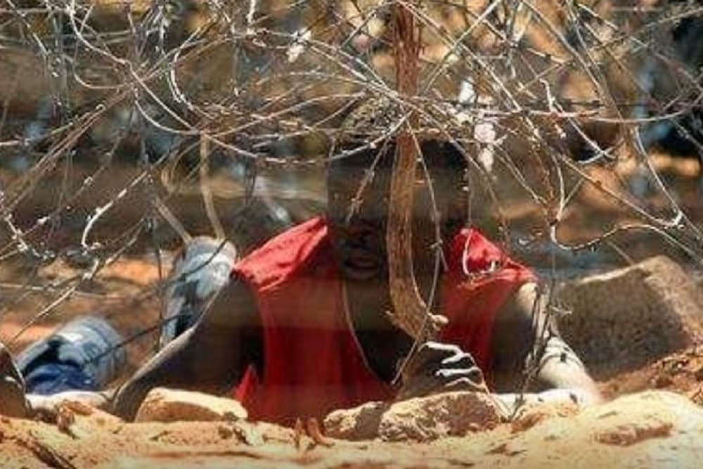 Police working hard to curb Limpopo cross-border crime: Scheepers