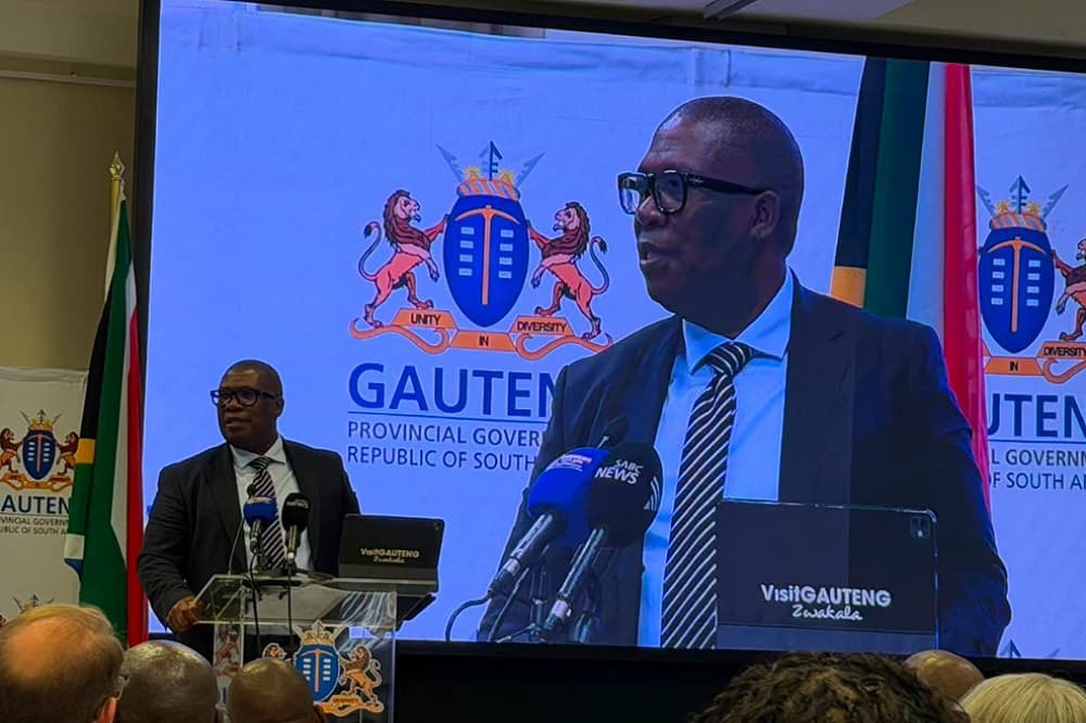 Lesufi unveils skills council to tackle unemployment