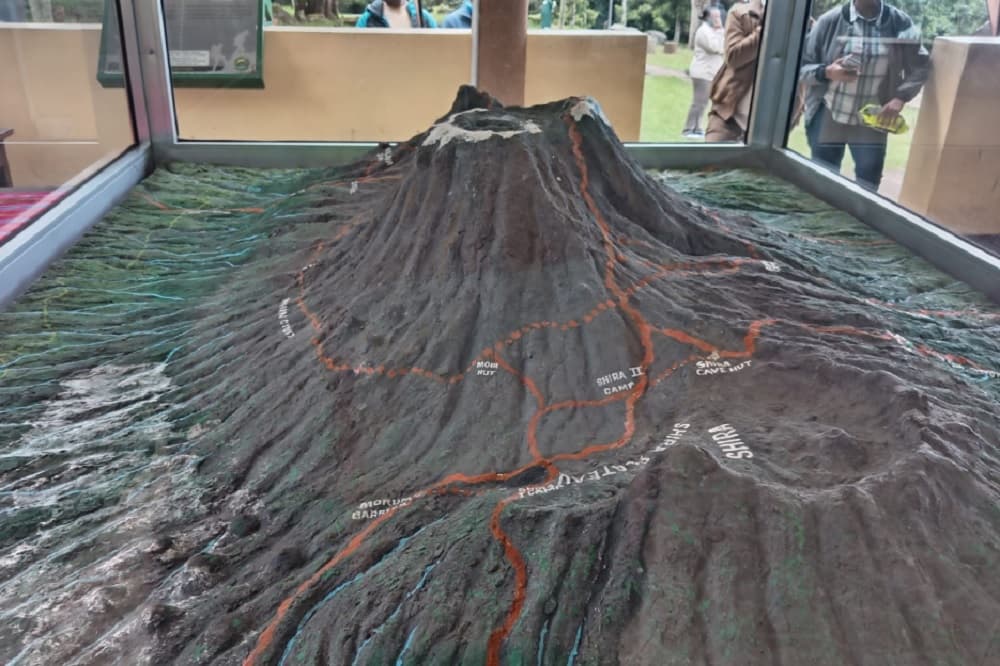 Trek4Mandela climbers begin Mount Kilimanjaro ascent