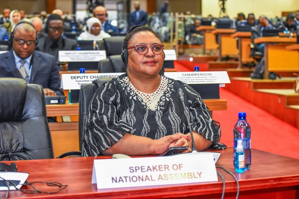 Didiza survives motion-of-no-confidence vote