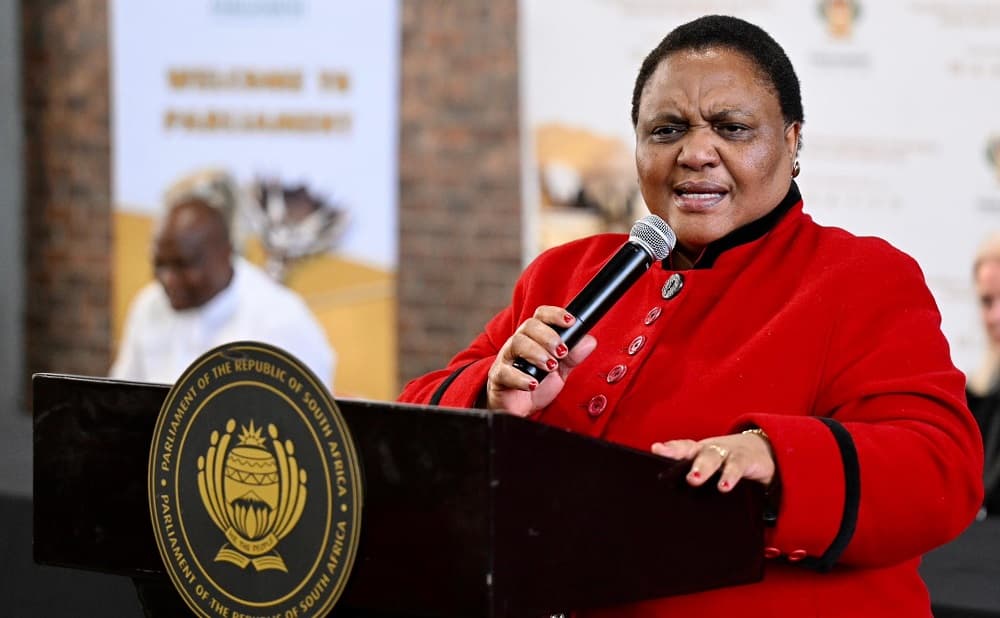 Didiza grants another extension to Parliament’s Ad Hoc Committee