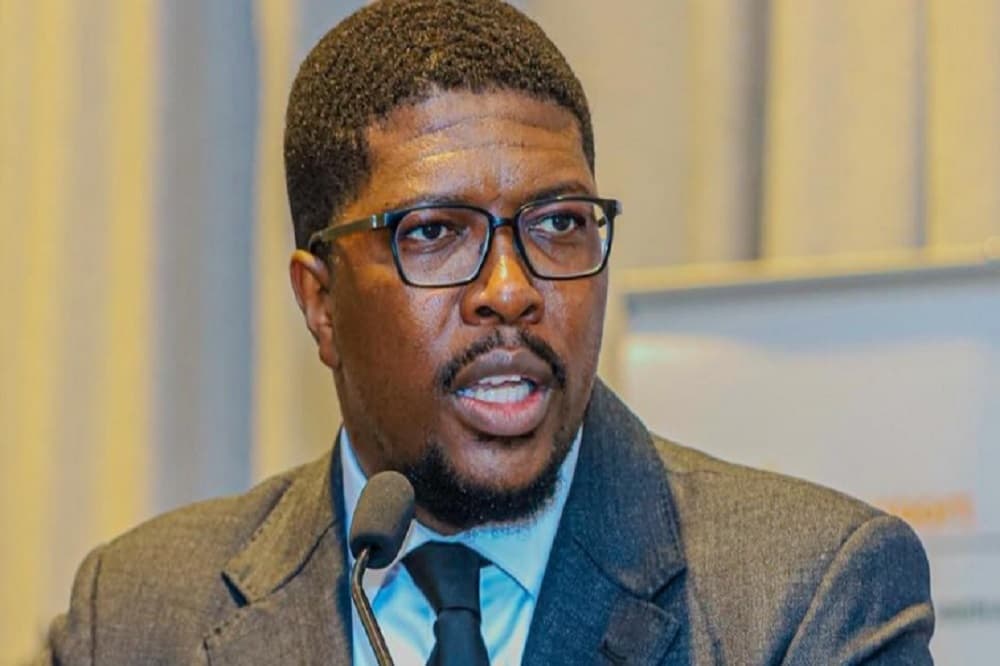 IFP names Mkhuleko Hlengwa as eThekwini mayoral candidate