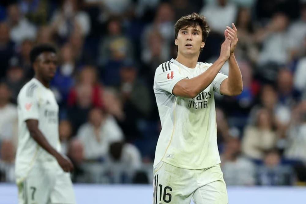 Fulham sign Gonzalo, Palacios from Real Madrid