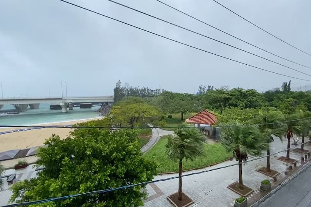 Typhoon Dolphin hits Japan’s Okinawa, China shuts ports