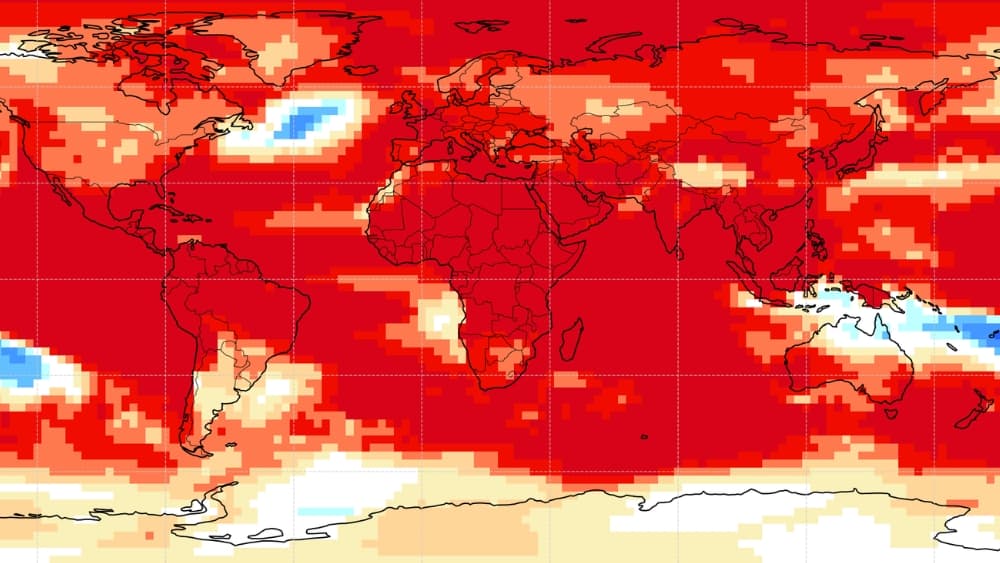 El Niño intensifies risk of drought and global heatwaves