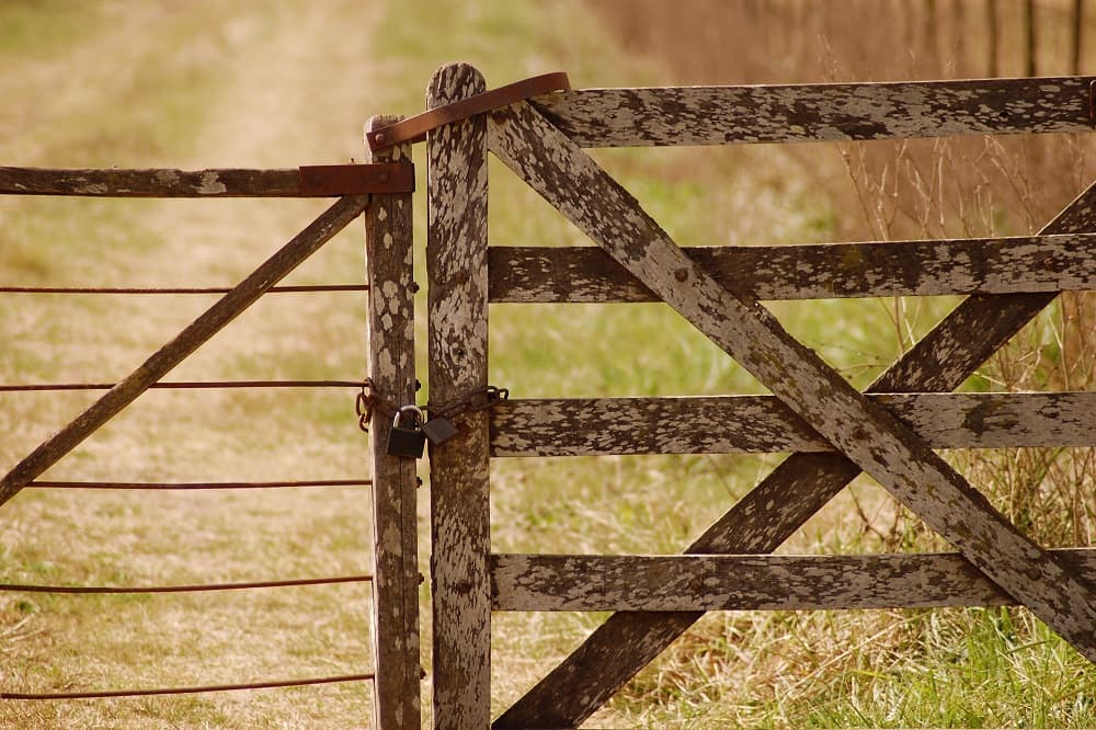 Manhunt launched for four suspects in Limpopo farm robbery