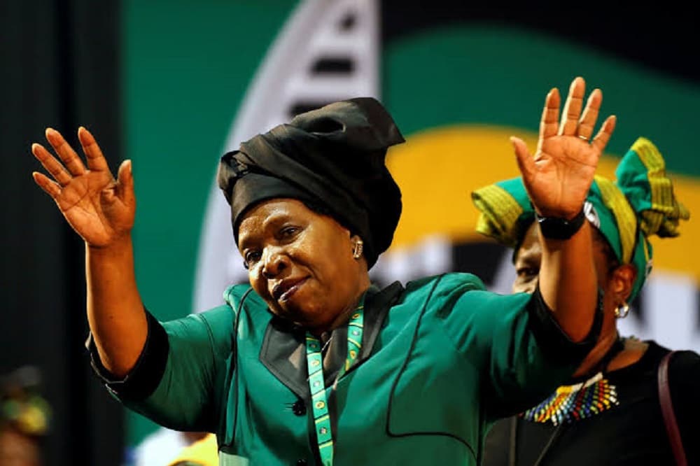 Dlamini-Zuma files an opposing affidavit against Mbalula