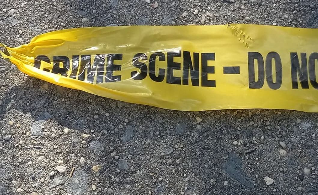 Two teenagers shot dead in Alexandra, police launch murder probe