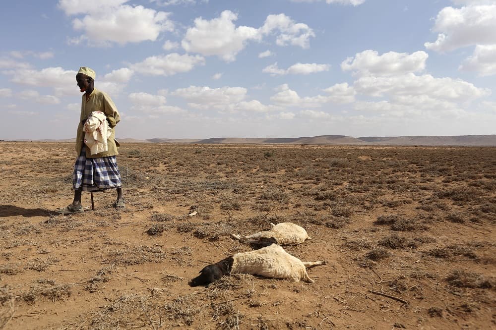 Organisation warns of El Nino intensifying in the coming months