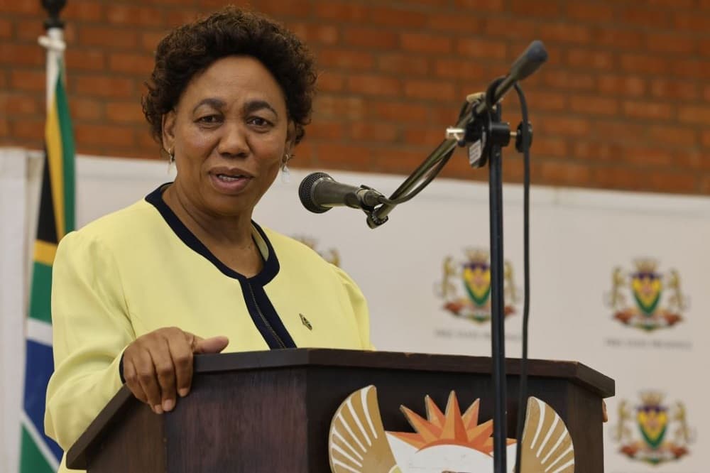 SANDF spent R2.4bln on private chartered planes in 5 years: Motshekga