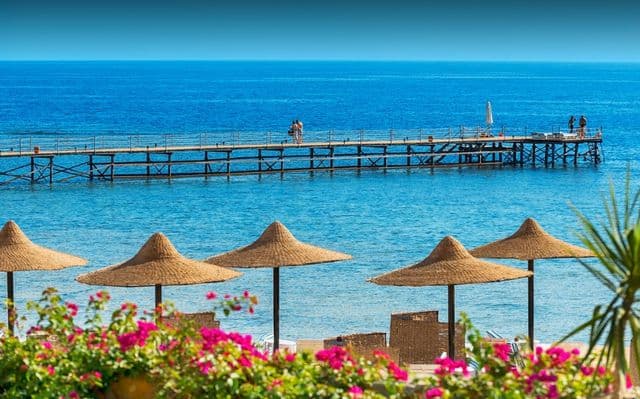 Wizz Air expands reach to Egypt with 27 new flights from Poland