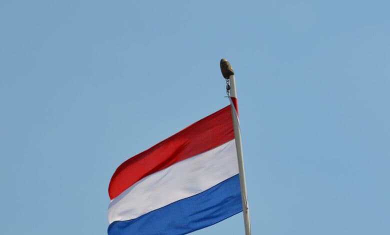 Egyptian, Dutch FMs discuss strengthening bilateral relations, regional developments