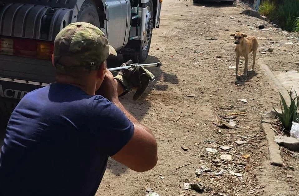 Egypt’s Agriculture Ministry steps up field efforts to prevent rabies