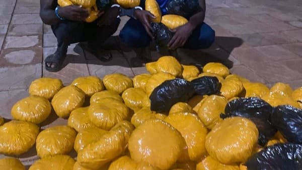 Two suspected drug dealers arrested with 170 parcels of suspected Indian hemp in Tamale