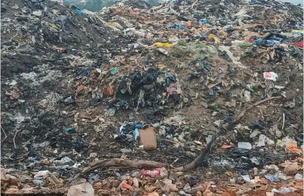 Landfill sie near Sunyani Airport raises bird strike fears