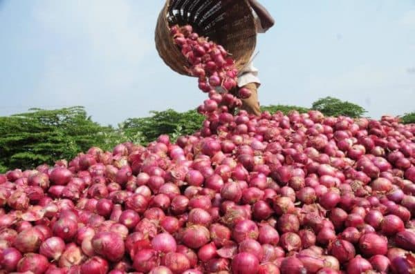 Nigerian onion traders seek Ghana’s intervention over detention of trucks
