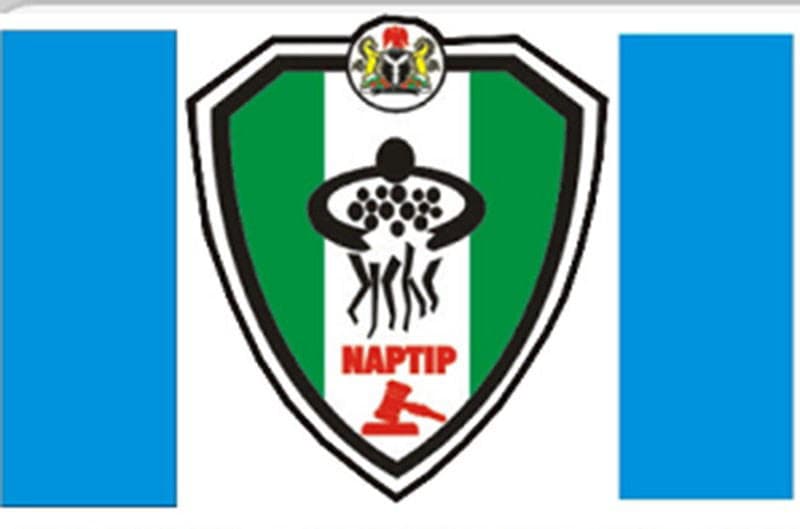Over 300,000 people trafficked into Southeast Asia scam hubs yearly, generate $64bn — NAPTIP
