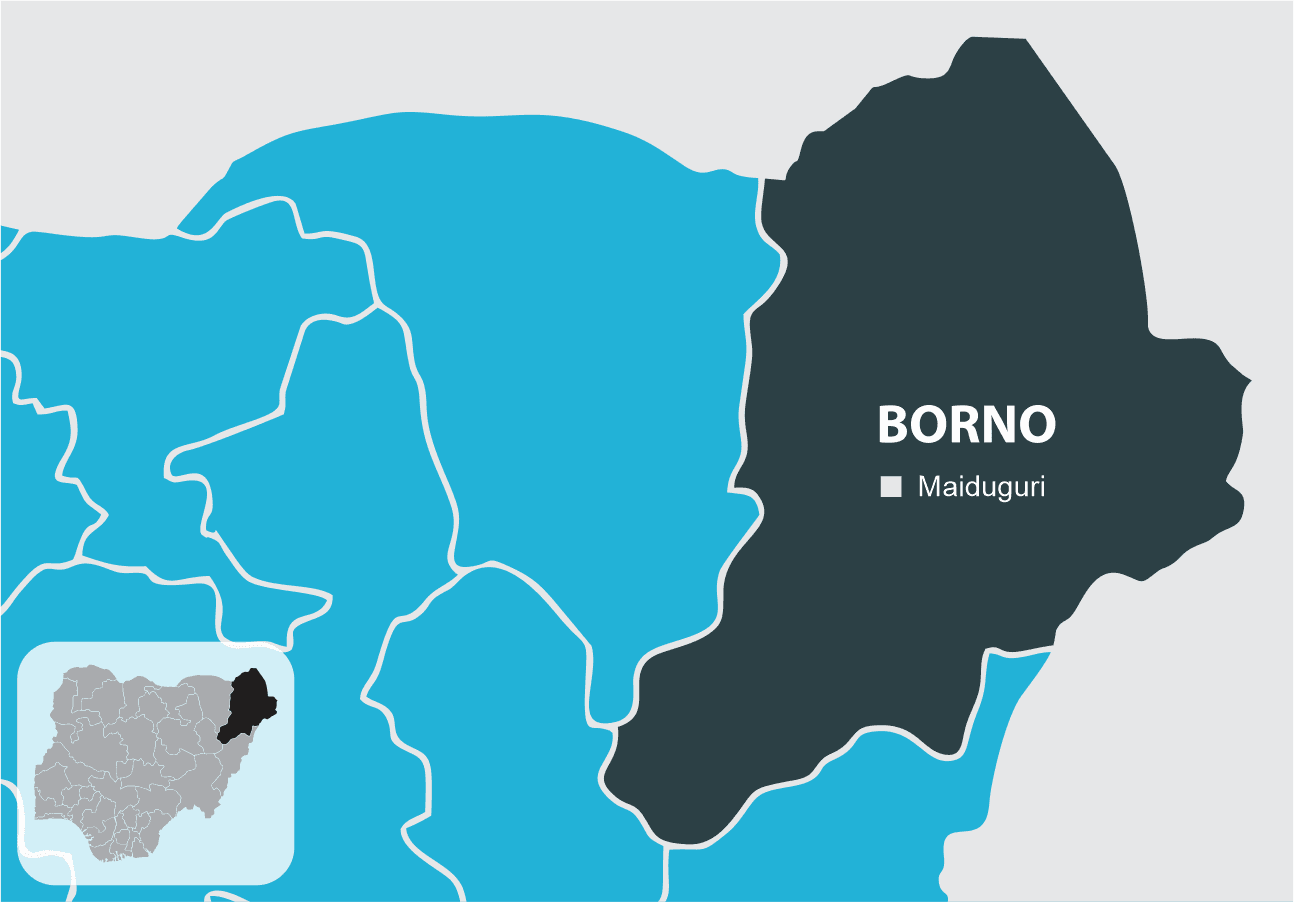 FG dismisses report of ISWAP attack on Girls College in Monguno