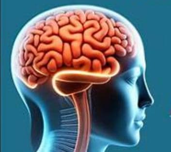 Brain drain: Nigeria risks losing more eye specialists, OSN warns