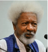 Soyinka’s life reflects Nigeria’s tempestuous history — Odumakin
