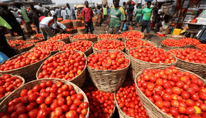 Nigeria may face rice, tomato scarcity in 3 months — OTACCWA