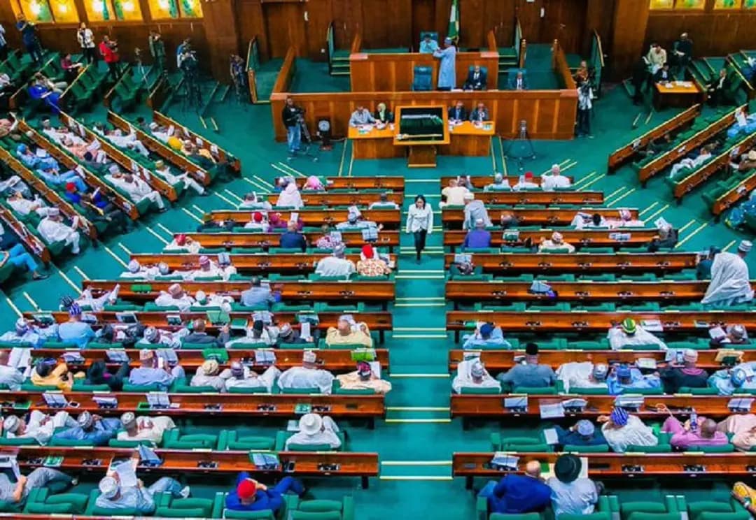 Reps doesn’t need Tinubu to explain budget implementation, Says Deputy Spokesperson