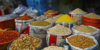 Seeds, science and nutrition: Transforming Nigeria’s food system through plant breeding for human health