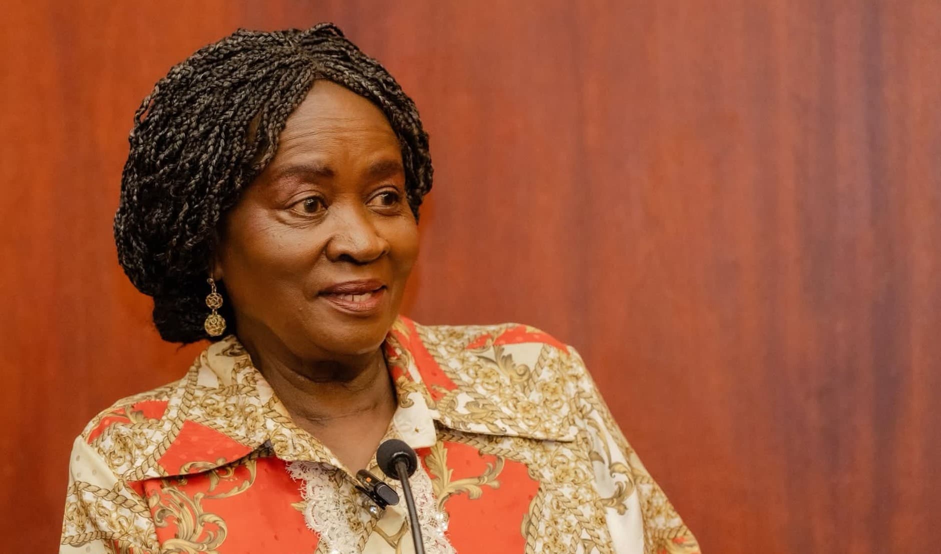 Vice President calls for diversified funding for universities