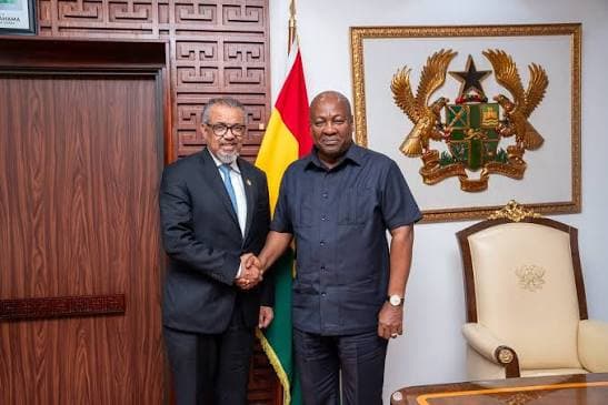 WHO Director-General calls on President Mahama