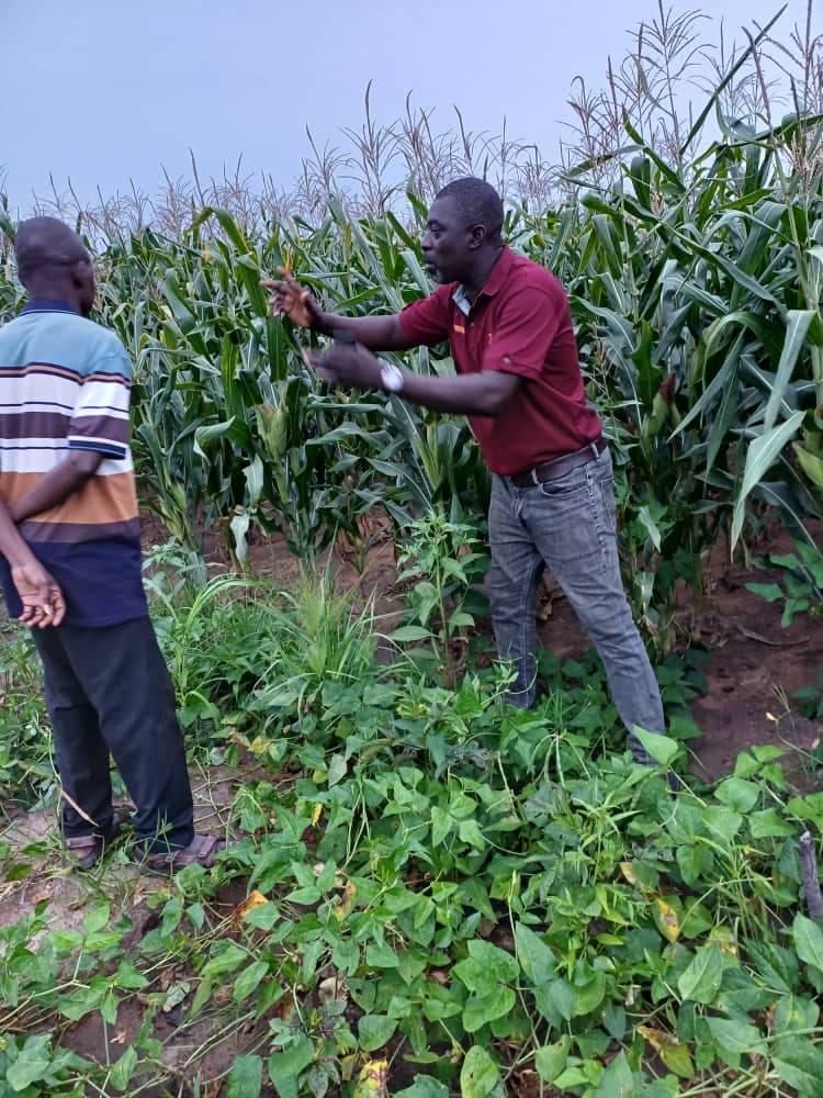Best farmer calls on government to prioritise local maize production over imports