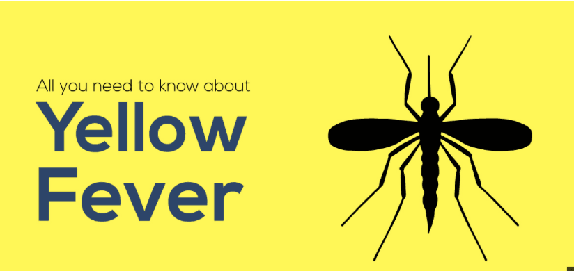 Health Minister confirms three yellow fever cases in Upper West