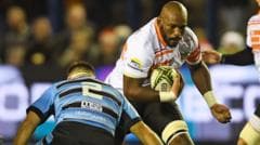 Cheetahs to play European games in Swansea