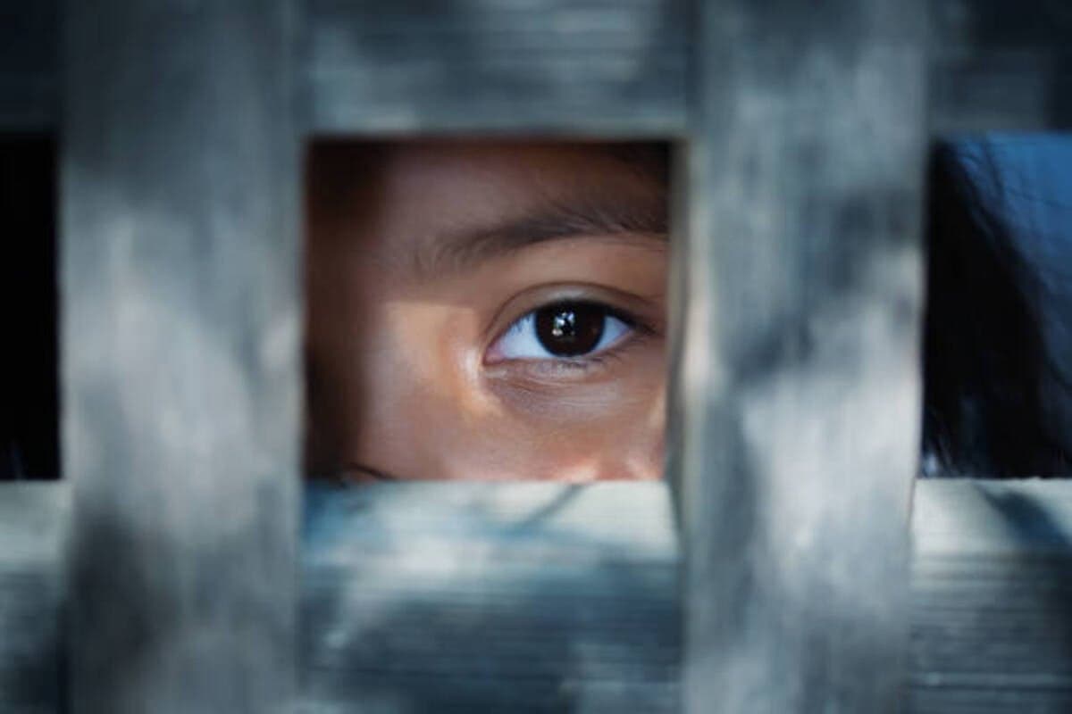 A wolf in sheep’s clothing: The job scams that traffic South Africans