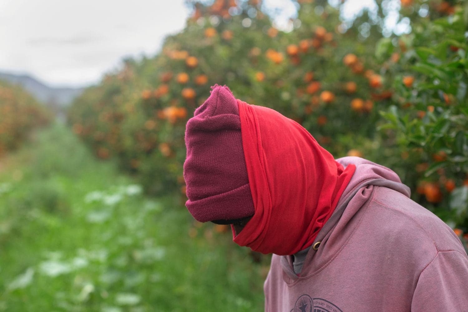South Africa’s migrant exodus leaves employers short-handed