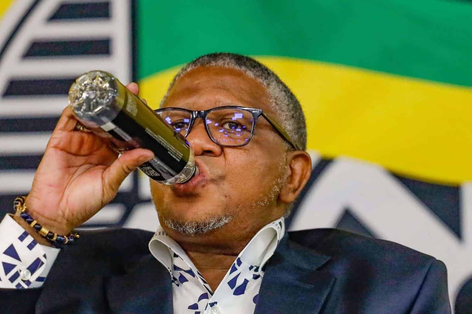 What will the ANC promise the neighbouring community of Alexandra on August 15?