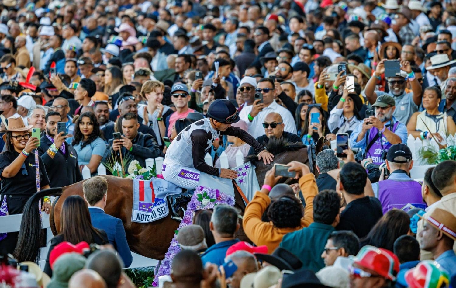 NOTE TO SELF reigns supreme at Hollywoodbets Durban July